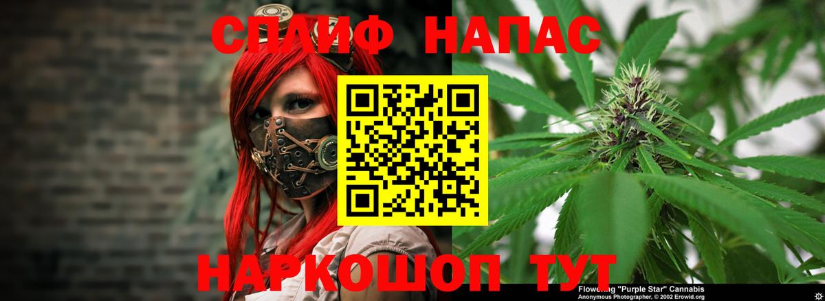 Бошки Шишки семена  Вход с VPN  Конопля ГИДРОПОН  Великий Новгород  Бошки Шишки Ganja 